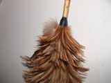 The feather duster – friend or foe in house cleaning?